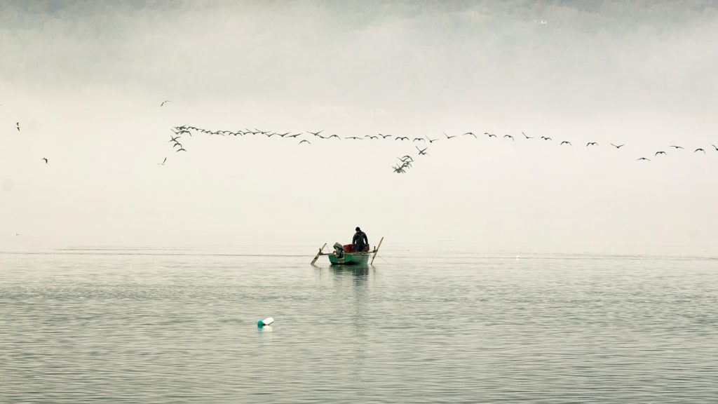 boat, lake, landscape